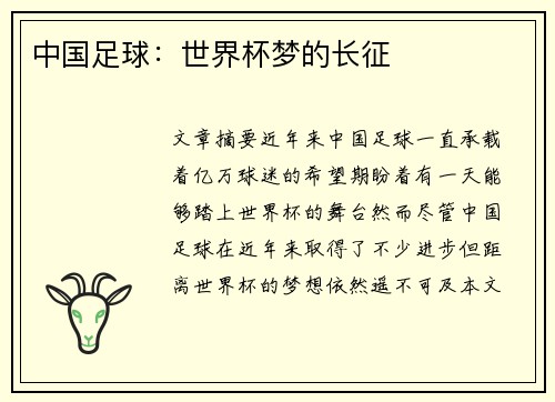 中国足球：世界杯梦的长征